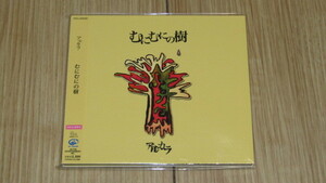 帯付CD◇アルカラ - むにむにの樹　※2013年デジパック初回限定盤