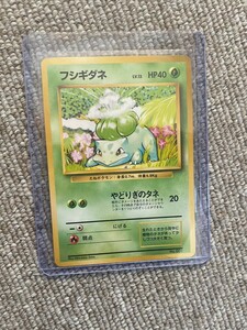 ① ポケモンカード 旧裏面 旧裏 フシギダネ マークなし