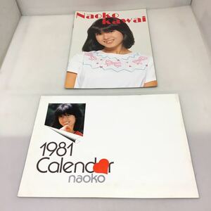 29-53 河合奈保子 パンフレット 1981カレンダー 6月まで 写真集