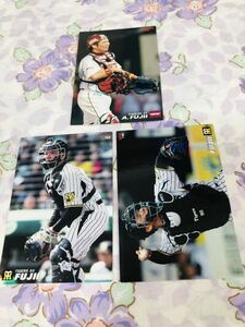  Calbee Professional Baseball chip s card set sale Hanshin Tigers wistaria .. person 