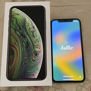 iPhone XS スペースグレイ SIMフリー Apple SIMロック解除済み ドコモ購入　256GB