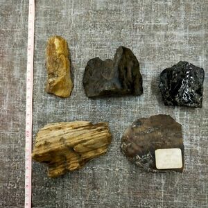 す360 天然石 詳細不明 鉱物 標本 アリゾナ フォレスト