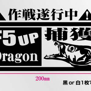 釣りステッカー 　「太刀魚　F5UP Dragon 捕獲作戦遂行中！」　タチウオ　切り文字　カッティングステッカー
