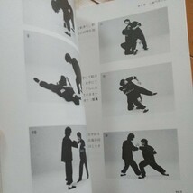 続 真法 八極拳　呉伯焔　劈掛拳　劈掛掌　中国武術　拳法　武術　古武道　空手　気功　東洋医学　カンフー　少林拳　少林寺 南拳 _画像8