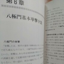 続 真法 八極拳　呉伯焔　劈掛拳　劈掛掌　中国武術　拳法　武術　古武道　空手　気功　東洋医学　カンフー　少林拳　少林寺 南拳 _画像9