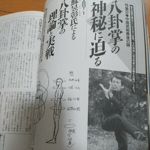 うーしゅう　1992年春号　八卦掌　心意六合拳　　古武道　武術　柔術　合気道　居合　拳法　剣術　空手　気功　太極拳　