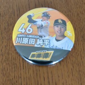 福岡ソフトバンクホークス川原田選手 缶バッジ