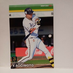 カルビープロ野球チップス2023年☆オリックスバファローズ☆【005】杉本裕太郎（レギュラーカード）