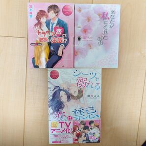 TL小説 エタニティ 3冊セット