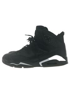 NIKE◆AIR JORDAN 6 RETRO/エアジョーダンレトロ/グレー/384664-020/28cm/ブラック