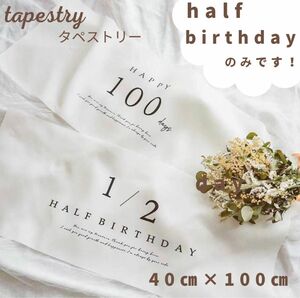 タペストリー　ハーフバースデー　誕生日　記念日　撮影　フォト