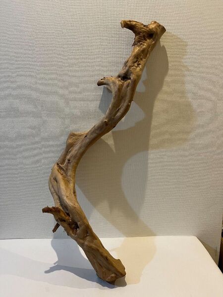 流木 約82センチ