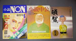 小説雑誌　創刊号　小説NON　小説中公　月刊頓智