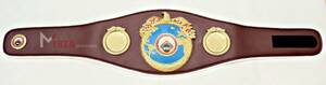 海外 送料込み 　高品質 WBO Super World Boxing ボクシング　 レプリカ プロレス　レスリング　チャンピオンベルト