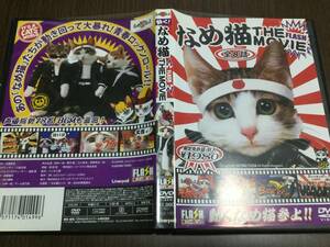 ◇免許証なし 動作OK ◇なめ猫 THE MOVIE DVD 国内正規品 FLASH ねこ 猫 ネコ 即決