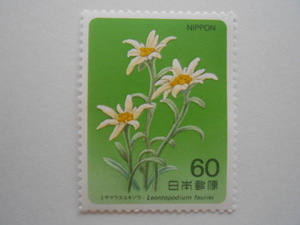 高山植物1集　ミヤマウスユキソウ　未使用60円切手（6101）