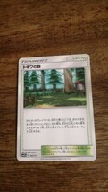 ポケモンカード　トキワの森　SM12a　165/173_画像1