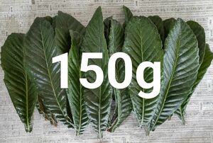 【いちご様専用】びわの葉っぱ 150g