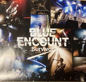 即決 BLUE ENCOUNT Survivor 特典ポスター 新品