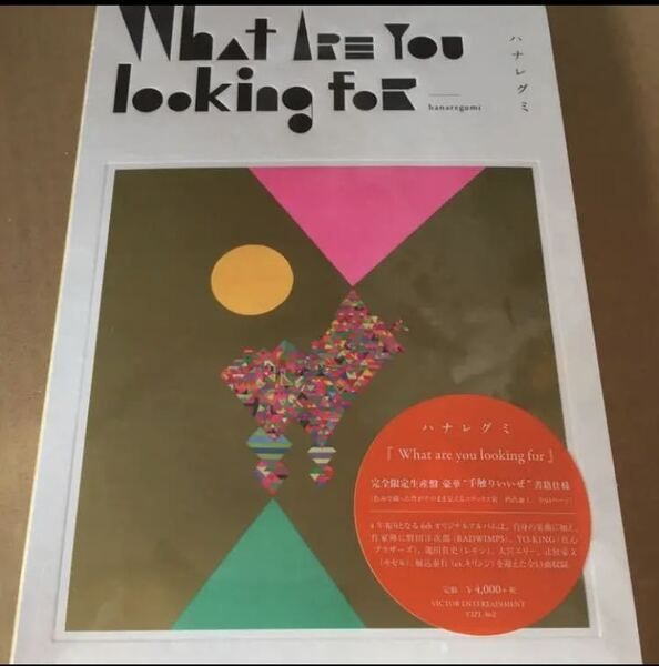 即決 What are you looking for ハナレグミ 限定盤 新品未開封