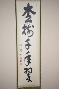 茶道具 掛軸 妙心寺 第27代管長 松山 萬密 「松樹千年翠」　掛け軸 01-5219