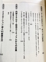 ★即決★送料111円～★ 手から溢れ出す! “非身体的パワー" 「スパーク」する! ! ! スコット・メレディス 太極拳_画像4