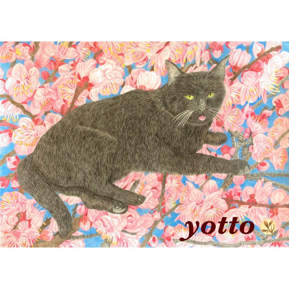 Colored pencil drawing Ume Gaka and Black Cat A4 size with frame◇◆Hand-drawn◇Original drawing◆Cat◆Yotto◇, artwork, painting, pencil drawing, charcoal drawing