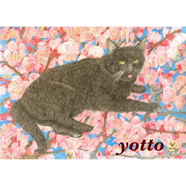 色鉛筆画「 梅が香と黒猫 」A4・額付き◇◆手描き◇原画◆猫◆yotto◇50%OFF