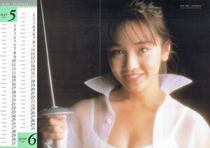  Nishida Hikaru PIN-UP CALENDAR булавка nap* календарь фотосъемка |... один 1990 год 
