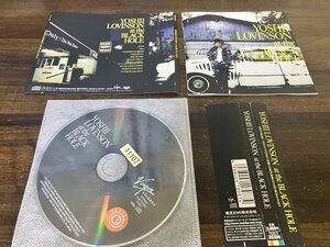 at the BLACK HOLE 　CD　吉井和哉　即決　送料200円　916