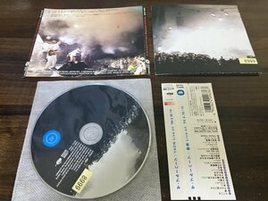 野音 Live on ’94 6.18/19 THE BLUE HEARTS 　CD　ザ・ブルーハーツ　即決　送料200円　916