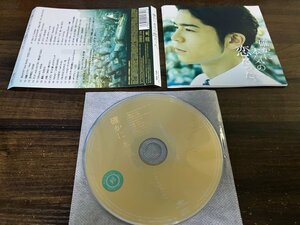 確かに本気の恋だった ヴァリアス CD 即決　送料200円　916