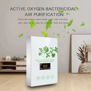  multifunction active ozone generator ozonizer .. vessel air purifier .. fruit vegetable water food preparation i owner i The - ozonizer American plug EC plug selection possible 