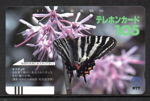 テレカ ギフチョウ 105度 テレホンカード