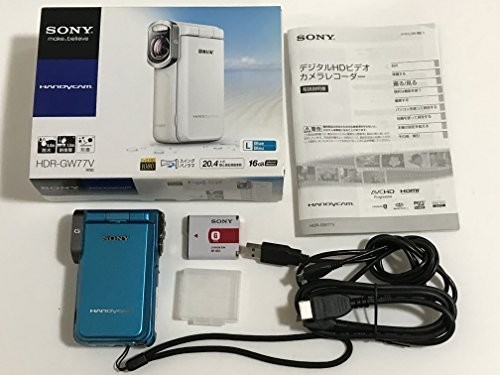 ソニー SONY DCR-PC350 S デジタルビデオカメラレコーダー(シルバー