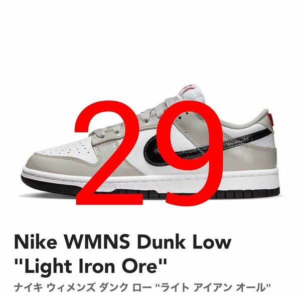 【新品未使用】29cm Nike WMNS Dunk Low Light Iron Ore DQ7576-001