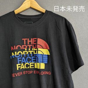 【日本未発売】THE NORTH FACE ノースフェイス Tシャツ 半袖シャツ XL 黒 ブラック メンズ アメリカ US限定