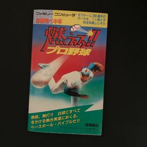 攻略本 ファミリーコンピュータ 燃えろ!!プロ野球 必勝 攻略法 