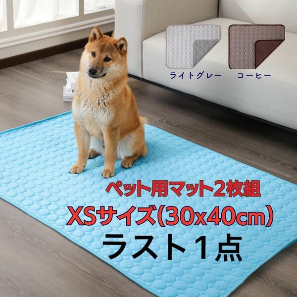 完売間近！2枚 XS ペット用マット 敷きパッド 犬 猫 睡眠 快適 洗濯可 簡単お手入れ