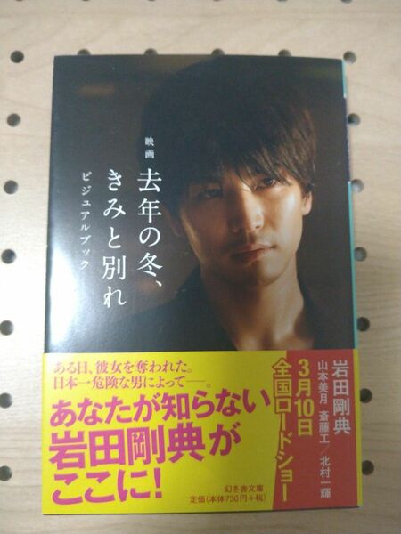 去年の冬、きみと別れ　ビジュアルブック