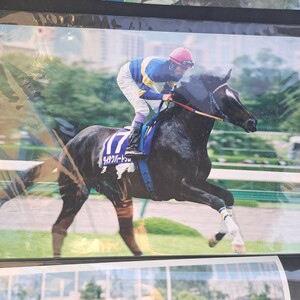 競馬　JRA ダイタクバートラム　宝塚記念出走時　ワイド六つ切り写真　武豊騎手