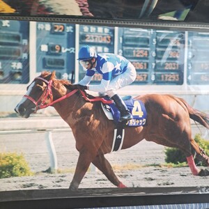 高知競馬　黒船賞　ノボジャック　蛯名正義騎手　ワイド六つ切り写真