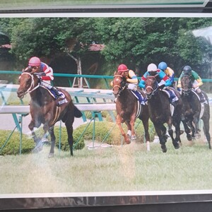  horse racing tap Dance sichi- Takarazuka memory Sato . three . hand six . cut . photograph 
