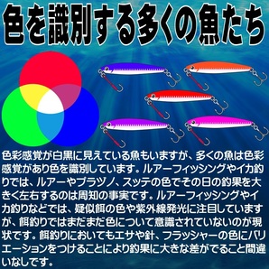 紫外線加工液 集魚剤 ケイムラブルー レッド オレンジ パープル ピンク 190ml５色組 ケイムラ 液 オキアミ 海上釣堀 エサ 釣りエサ 釣り餌 の画像4