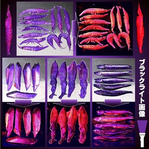 紫外線加工液 集魚剤 ケイムラブルー レッド オレンジ パープル ピンク 190ml５色組 ケイムラ 液 オキアミ 海上釣堀 エサ 釣りエサ 釣り餌 の画像10