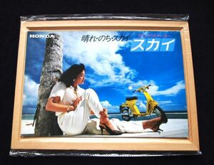 ホンダ　スカイ　大竹しのぶ？　１９８２年　カタログセット・良品・送料込み