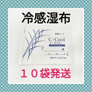 ド・クール　６枚入×１０袋　シトラス　湿布　キネシオテープ　コルセット　筋肉ケア　ボディケア