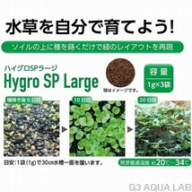 コトブキ プランツシード ハイグロSPラージ 1g x 3袋入り_画像4