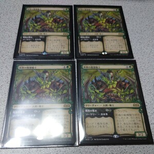 MTG WOE 苔森の戦慄騎士 日本語 四枚セット ショーケース エルドレインの森 即決