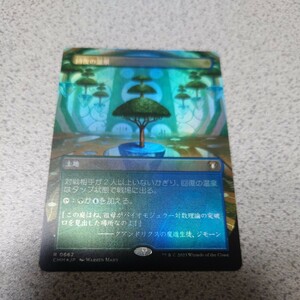 MTG CMM 回復の温泉 日本語foil 一枚 ボーダーレス セットブースター版 統率者マスターズ 即決